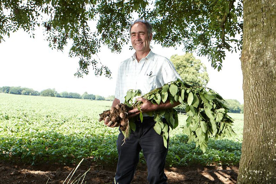 Peter Keogh | Irish Potatoes | Keogh's