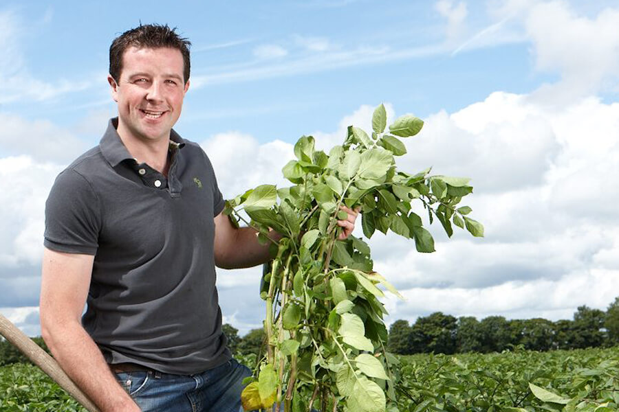 Tom Keogh | Irish Potatoes | Keogh's