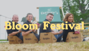 festival event garden outdoors