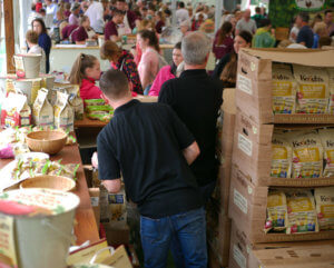 crowd of people festival