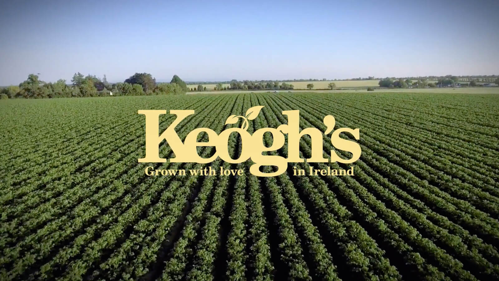 Keoghs - Our Story