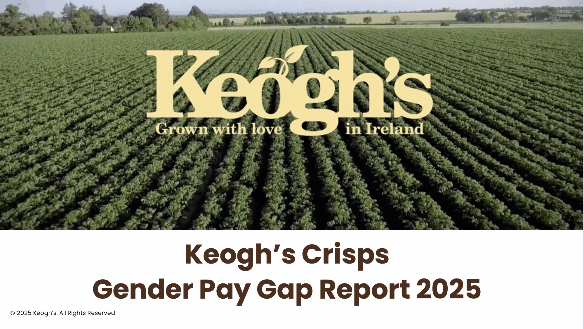 Gender Pay Gap Report 2025