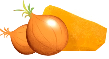 Chesse & Onion Illustration