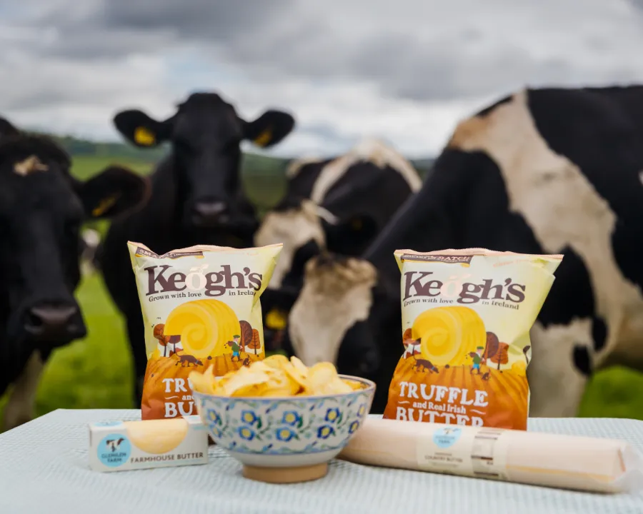 cow behind crisp packets in field