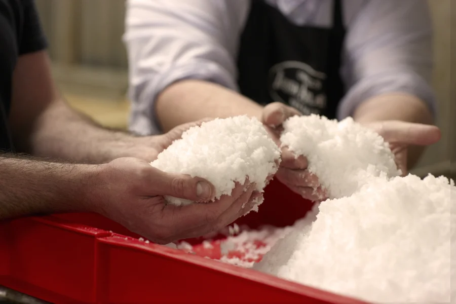 hand holding salt