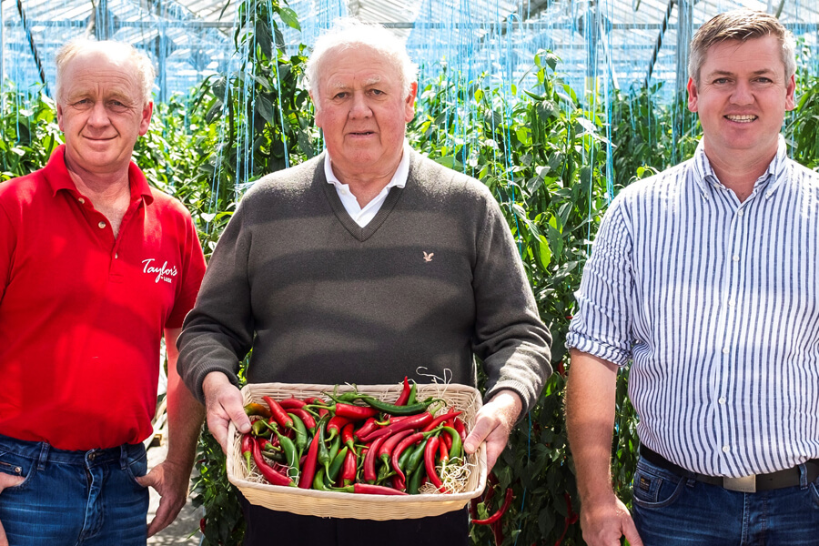 keoghs chilli farm
