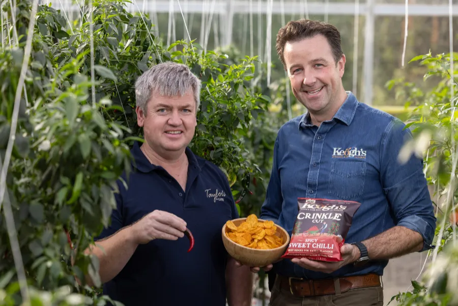 two men by chilli plants