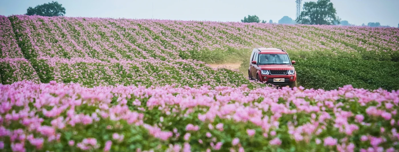 Red Range Rover Driving Through Flower Field