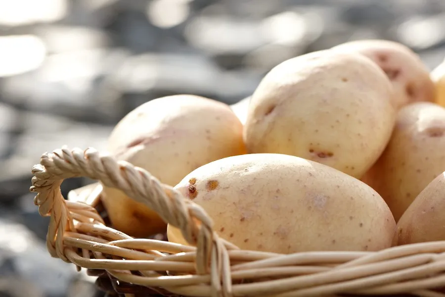 close up potatoes in basket