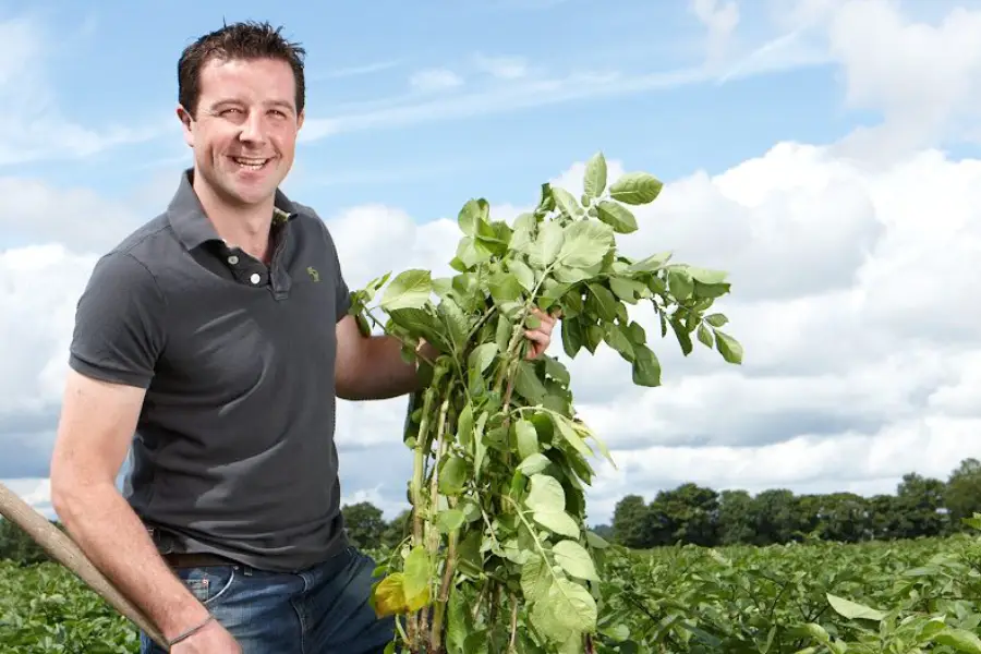 man in potatoe field