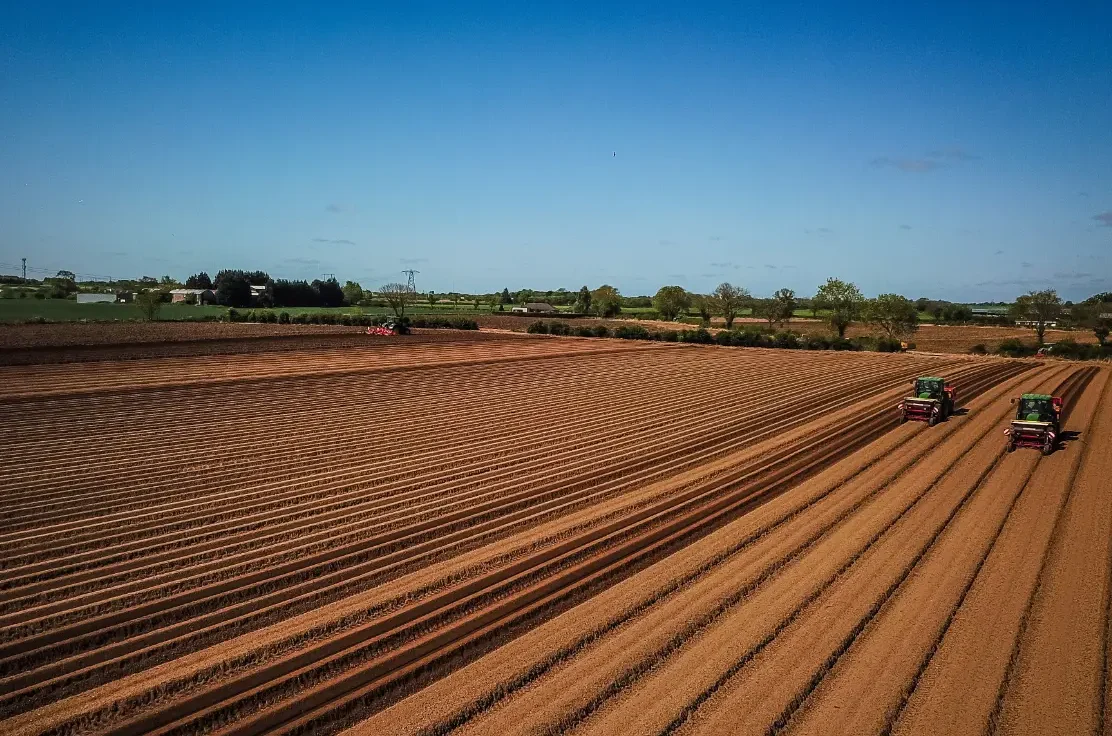 ploughing