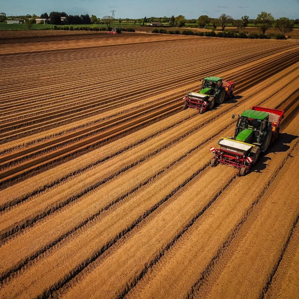 potato farm aerial
