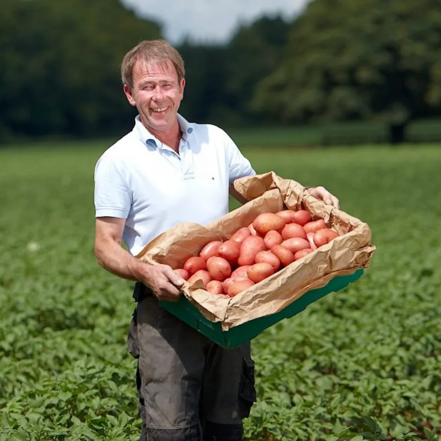 tony with box of potatoes in crop field