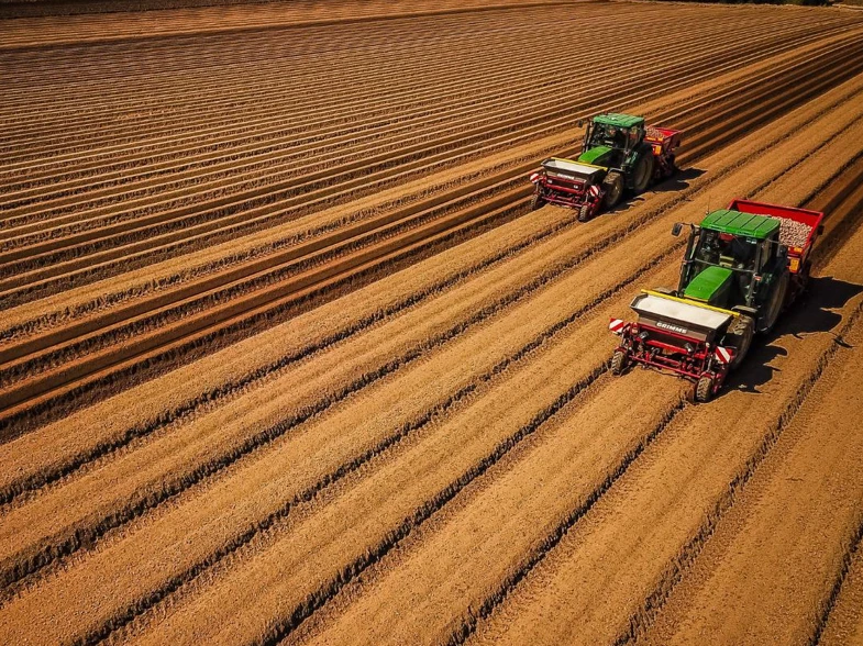 Tractors harvesting field