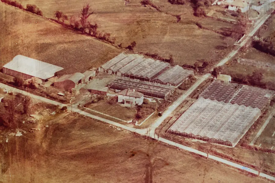 Aerial shot of Keogh's farm.