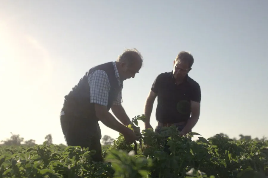 Peter and Tony examining potato crop