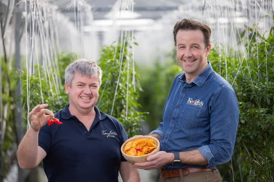 tom with man holding chilli in green house taylors